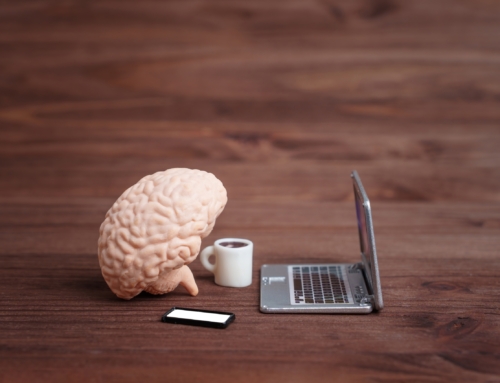 Educating the brain: why keeping it active matters more as we age